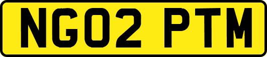 NG02PTM