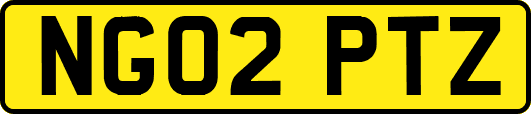 NG02PTZ