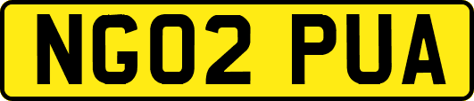 NG02PUA