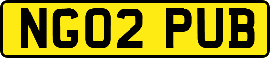NG02PUB