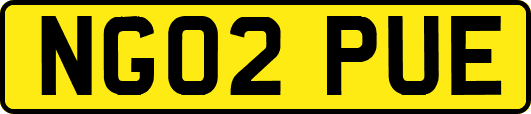 NG02PUE