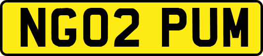 NG02PUM