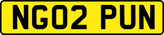 NG02PUN