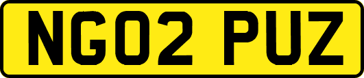NG02PUZ