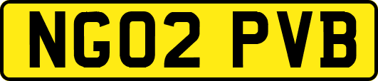 NG02PVB