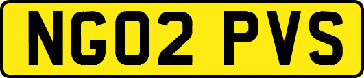 NG02PVS