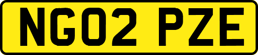 NG02PZE