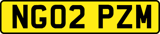 NG02PZM