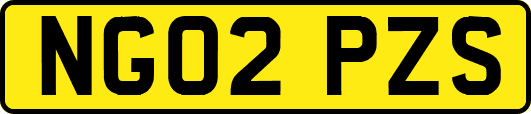 NG02PZS