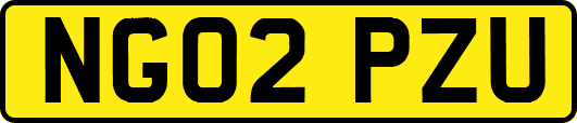 NG02PZU
