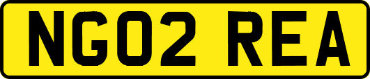 NG02REA