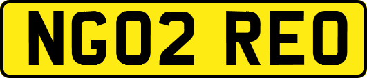 NG02REO