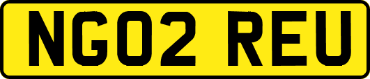NG02REU