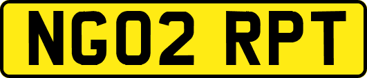 NG02RPT