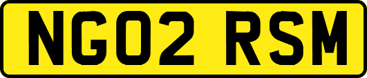 NG02RSM