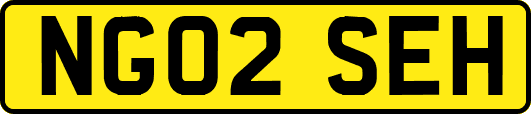 NG02SEH