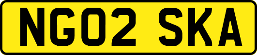 NG02SKA