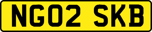 NG02SKB