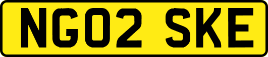 NG02SKE