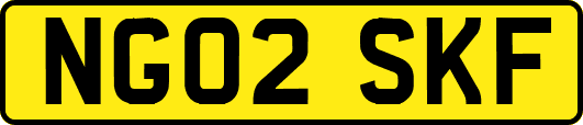 NG02SKF