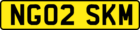 NG02SKM