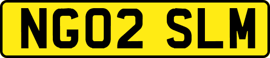 NG02SLM