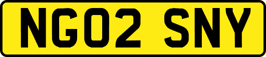 NG02SNY
