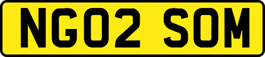 NG02SOM