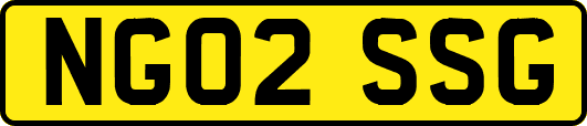 NG02SSG