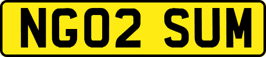 NG02SUM