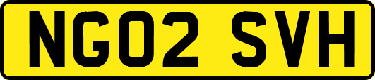 NG02SVH