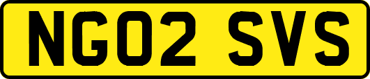 NG02SVS