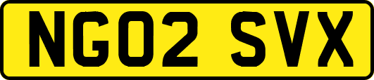 NG02SVX