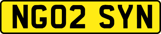 NG02SYN
