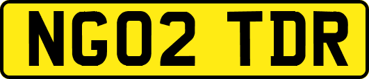 NG02TDR