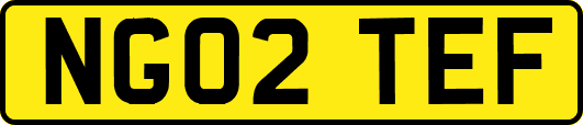 NG02TEF