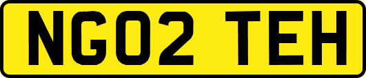NG02TEH