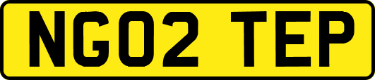 NG02TEP