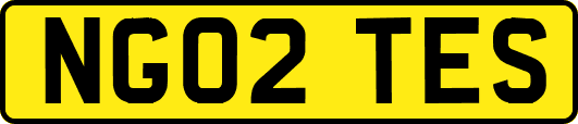 NG02TES