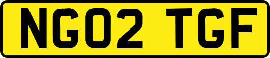 NG02TGF