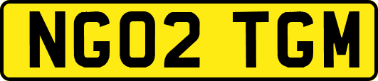 NG02TGM