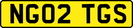 NG02TGS