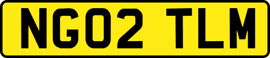 NG02TLM
