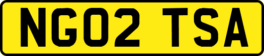 NG02TSA