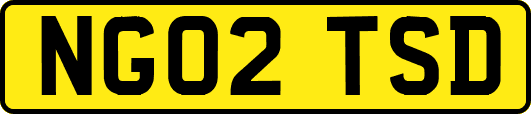 NG02TSD