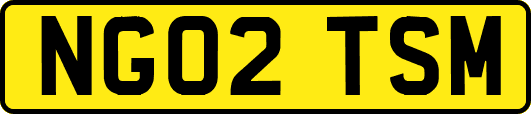 NG02TSM