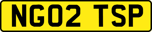 NG02TSP