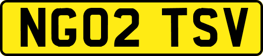 NG02TSV