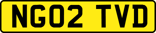 NG02TVD