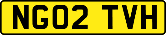 NG02TVH
